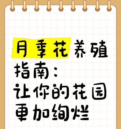 多根月季如何养殖？养殖技巧有哪些？