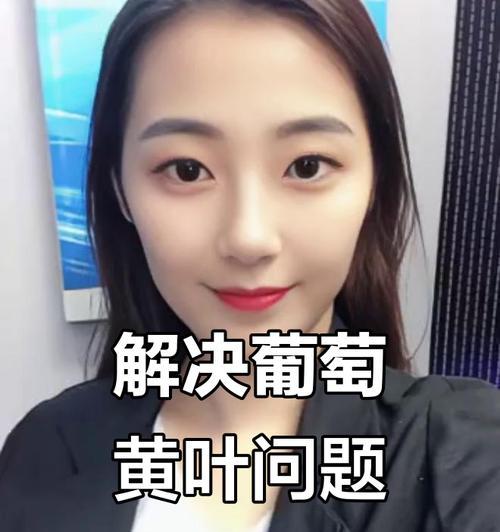 欧洲葡萄叶子发黄的解决方法是什么？