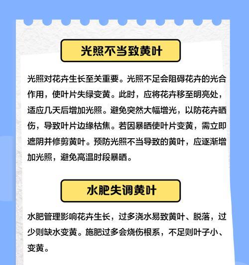 苹果麦子叶子发黄是什么原因？如何解决？