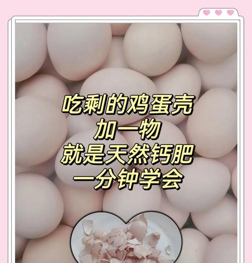 自制鸡蛋肥水肥料的窍门是什么？如何正确制作和使用？
