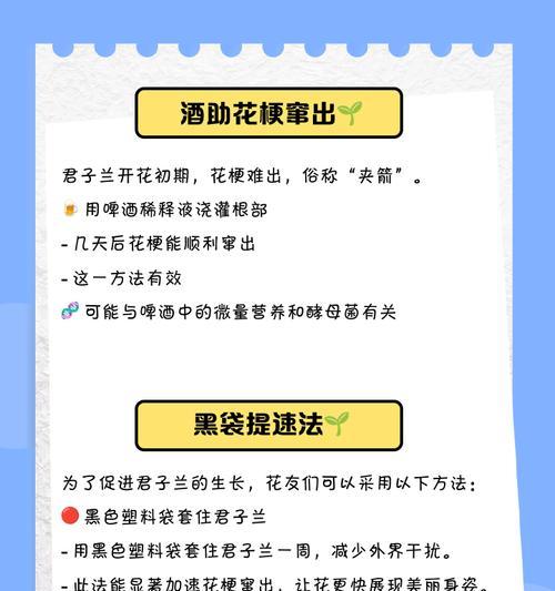君子兰夹箭现象的原因是什么？