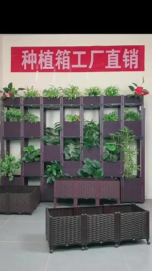 芸竹栽培技术要求是什么？如何确保芸竹健康成长？