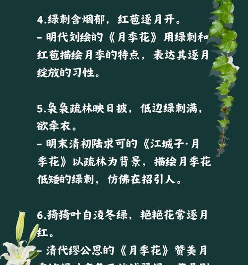 如何形容美丽的月季花？月季花的美丽有哪些特点？