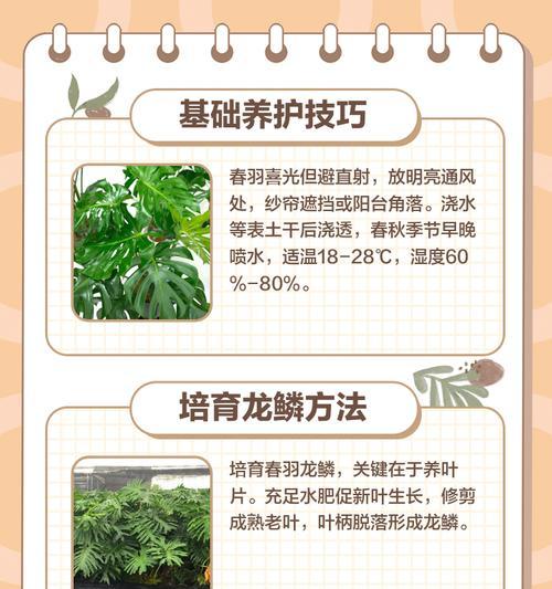 水培春雨叶子发黄的处理方法有哪些？