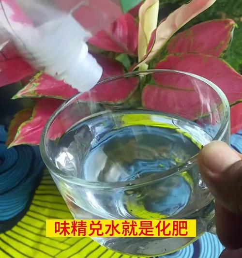 自制谷氨酸钠肥料的步骤和技巧是什么？