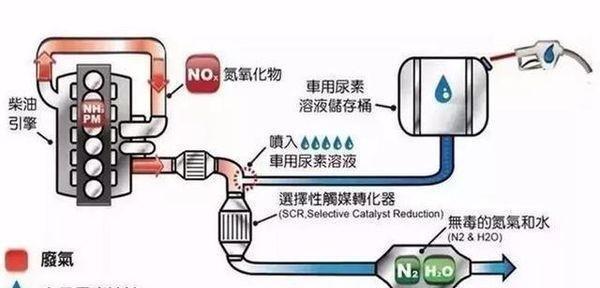 自制尿素肥料的步骤和注意事项是什么？