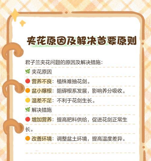 君子兰蜡质度下降如何处理？有哪些提升蜡质度的方法？