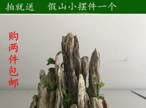 盆景鱼缸怎么制作好看？有哪些创意设计？