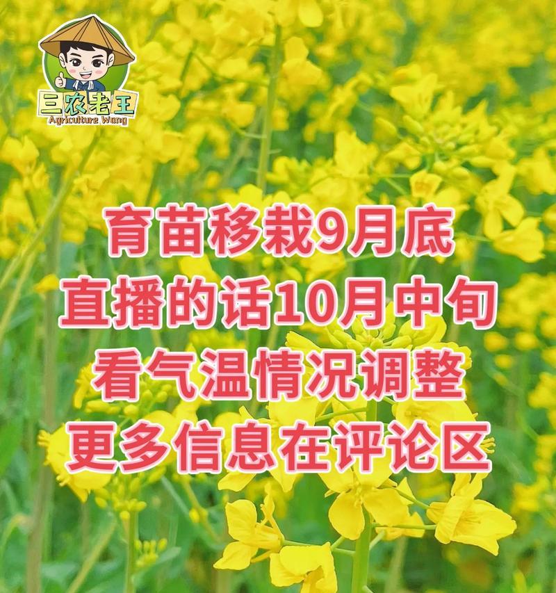 红油菜在北方的最佳播种时间是什么时候？