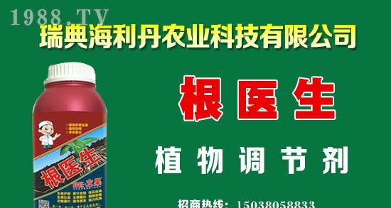 红油菜在北方的最佳播种时间是什么时候？