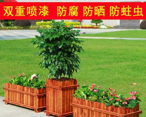 鸭嘴兽播种器的外观和功能介绍？
