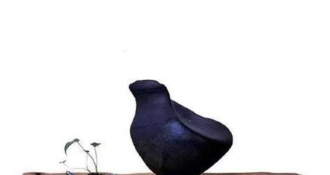 高端盆景护石怎么做？护石的正确步骤和技巧有哪些？