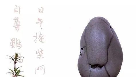高端盆景护石怎么做？护石的正确步骤和技巧有哪些？