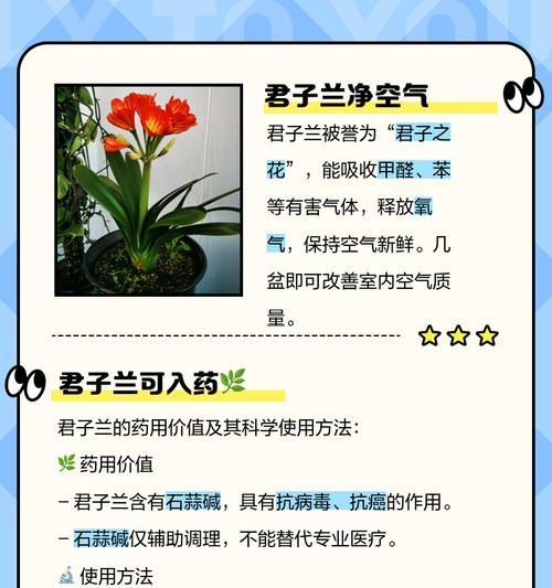 如何选择适合君子兰的杀虫剂？
