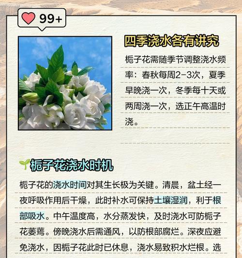 四季树如何正确浇水？有哪些注意事项？