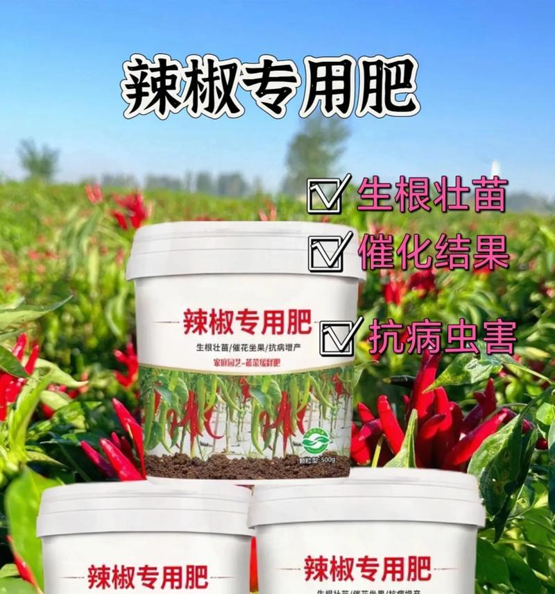 辣椒专用肥料自制步骤是什么？