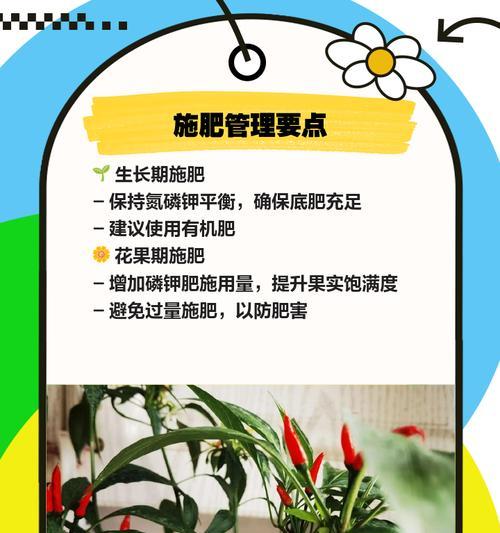 辣椒专用肥料自制步骤是什么？
