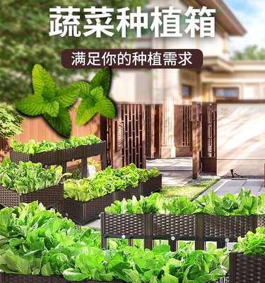 芸香草栽培技术的要点是什么？