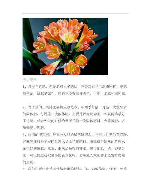 铁笼子中君子兰的养殖方法是什么？