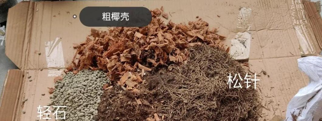 使用轻质营养土养月季的方法是什么？