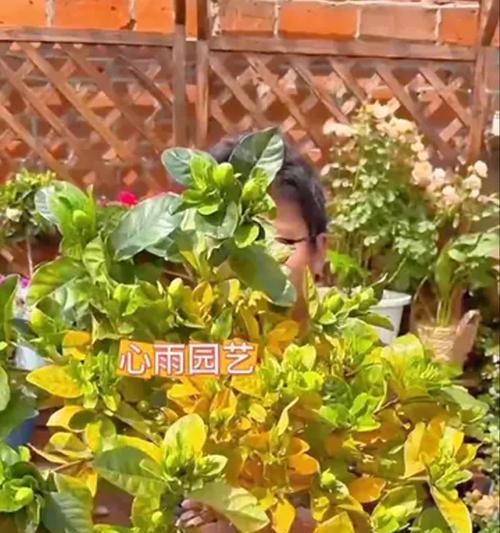 浸盆法不适合时应选择哪种浇水方法？