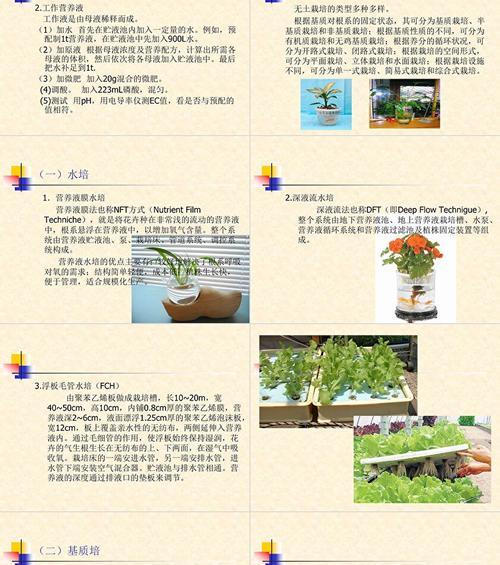 无土栽培大菜的关键技术是什么？