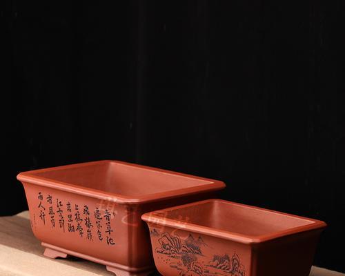 紫砂盆栽盆景的养护技巧是什么？