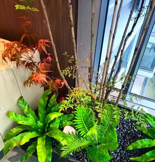 阳台花箱土壤选择：哪种土最适合？