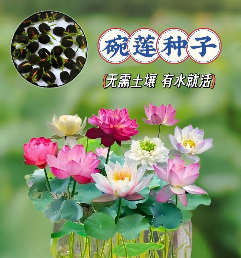 哪些水生植物耐寒且净水？耐寒净水水生植物有哪些选择？