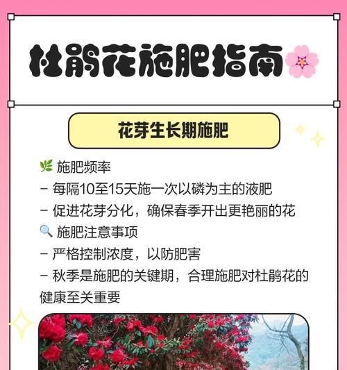 养花技巧包括哪些？施肥和驱虫的有效方法是什么？