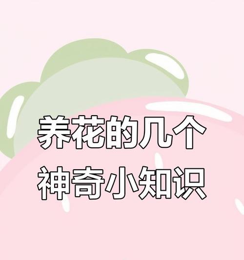 养花技巧包括哪些？施肥和驱虫的有效方法是什么？