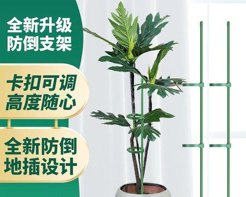 盆景花卉支架怎么用？正确使用花卉支架的方法和好处是什么？