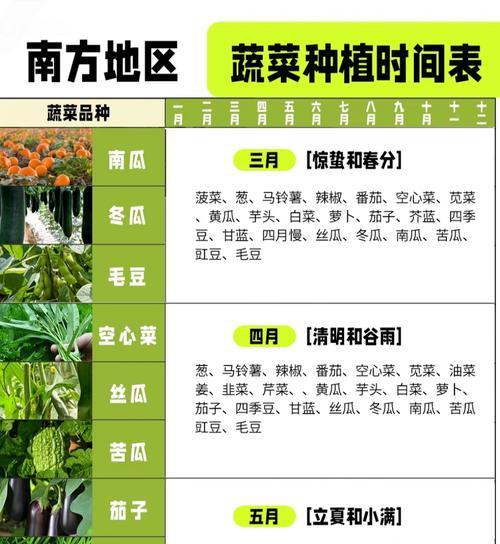 安徽辣椒苗播种的最佳时间是什么时候？