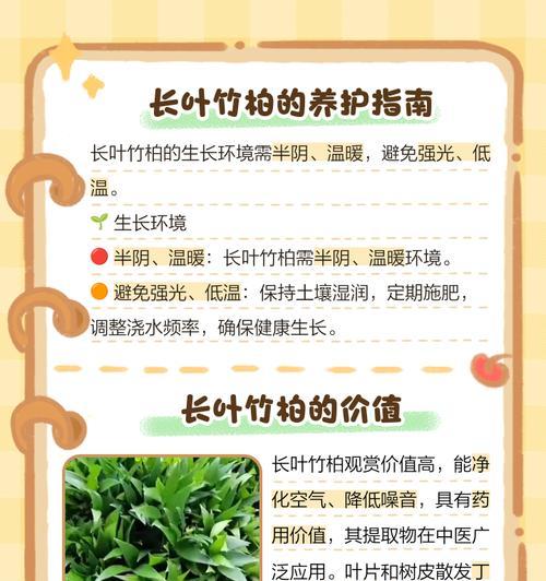 竹柏叶子发黄掉落是什么原因？