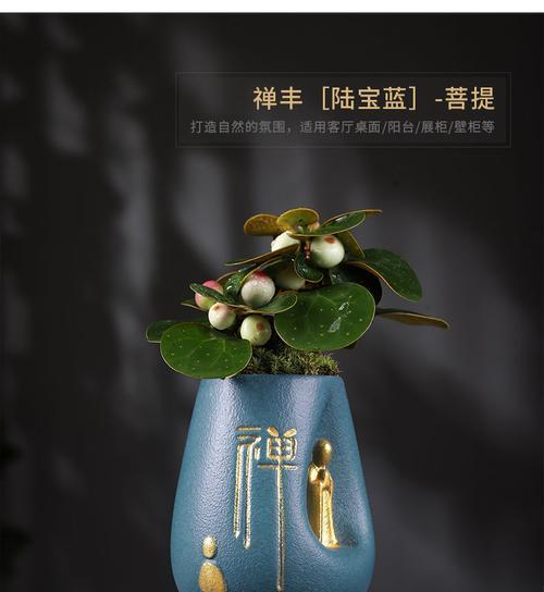 菩提盆景植物养护技巧有哪些？