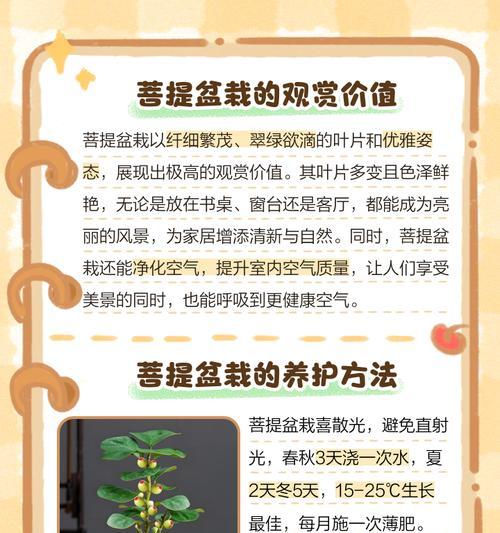 菩提盆景植物养护技巧有哪些？