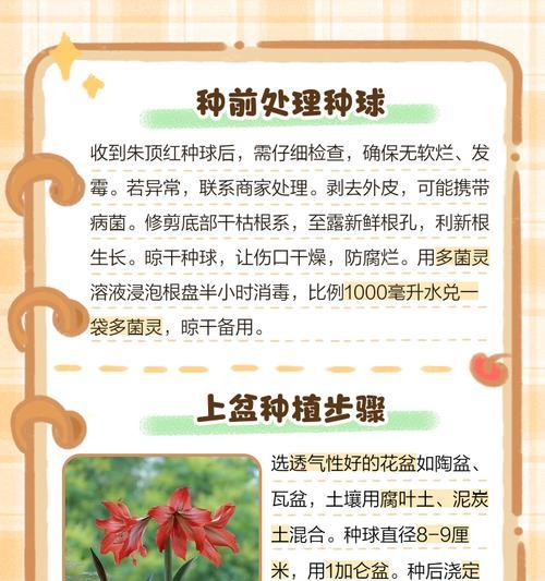 朱顶红需要预防哪些病虫害？