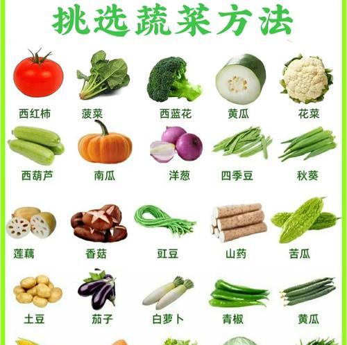 观赏用蔬菜有哪些？可作为观赏植物的蔬菜种类？
