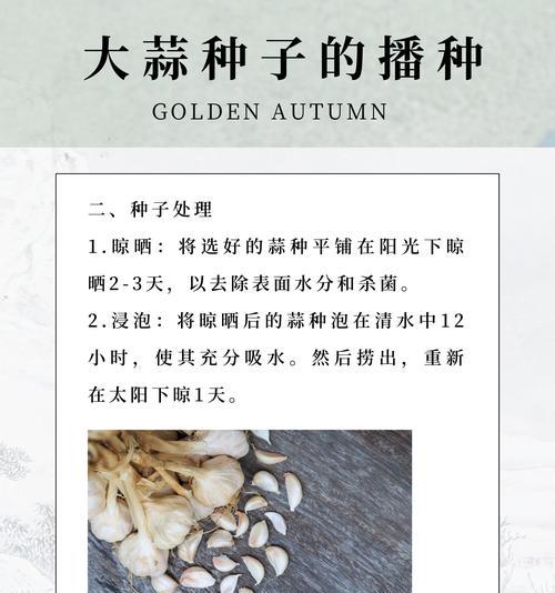 红种子适合哪个季节播种？如何选择播种时间？
