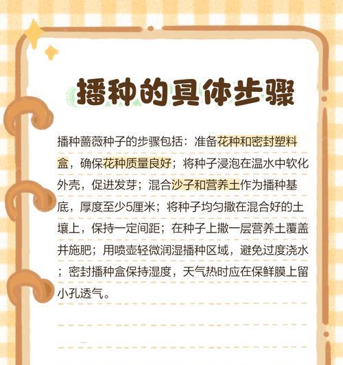 红种子适合哪个季节播种？如何选择播种时间？
