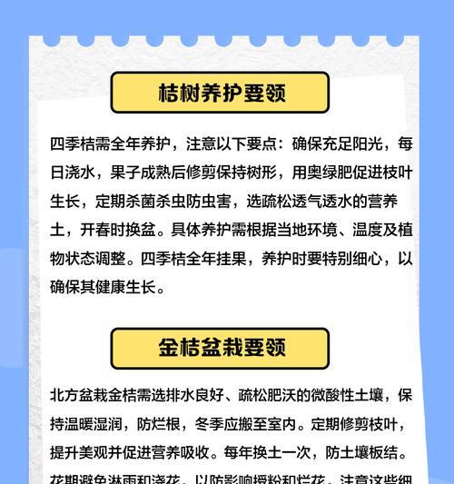 牛柑果树盆景的正确养护方法是什么？如何保持牛柑果树盆景的健康？