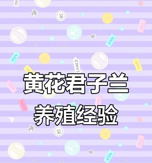 黄花君子兰国兰的正确养护方法是什么？