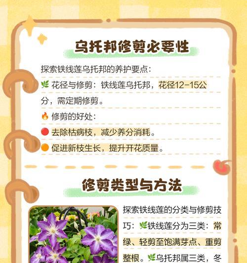 3月铁线莲发芽后如何护理？