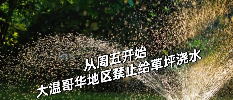 草地最佳浇水方法是什么？