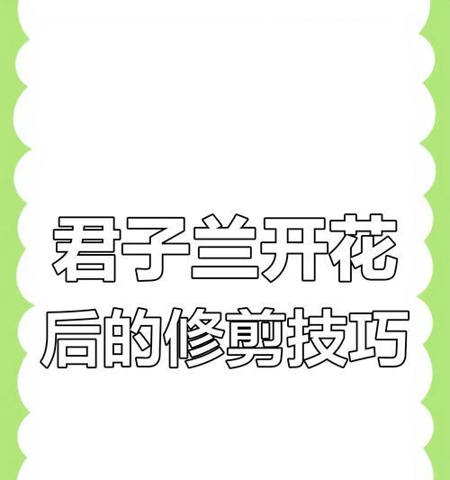 君子兰修剪技巧以促进爆盆？