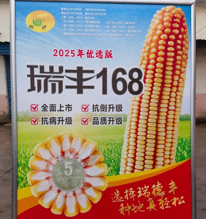 春播玉米栽培技术特点是什么？