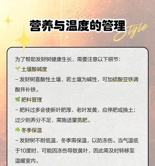 发财水过多导致叶子发黄如何解决？