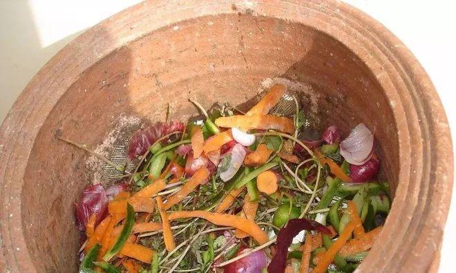 藤甲自制肥料的方法是什么？