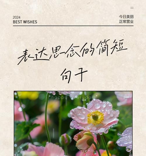表达思念的花语有哪些？它们各自的意思是什么？