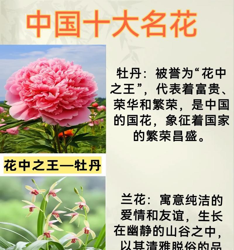 花开茂盛代表什么？花开茂盛的寓意是什么？